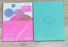 Item thumbnail for item d1036799-763c-48a4-86ec-6776bfe73750