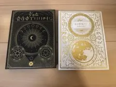 ずっと真夜中でいいのに。 正しい偽りからの起床 今は今で誓いは笑みで 初回限定盤