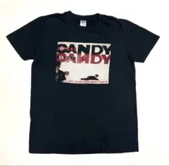 ジーザスアンドメリーチェイン 2015 ライブ Tシャツ