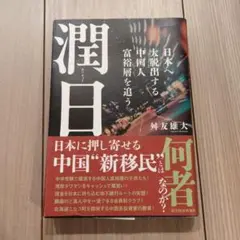 [2-3日で送付]潤日 舛友雄大著