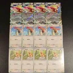 ピジョットex 進化ライン 各4枚セット