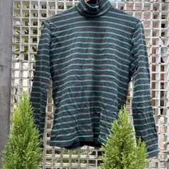 サリバンの綿シャツです。数年前に購入。何回か着用しています。