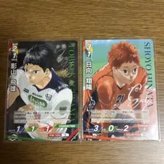ハイキューmagazine バボカ！ 2枚セット