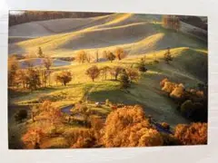 Item thumbnail for item 5c757ca9-dcb8-46c2-90be-07ed506fde93