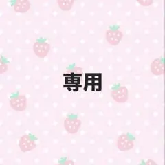専用ページ