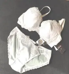 サルート ブラジャーD70ショーツM 新品 BTJ497.PTJ497