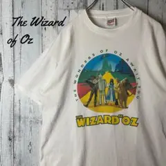 ▼コメ必須▼オズの魔法使い スノードーム オルゴール フィギュア wicked Amazon.co.jp: ハーフムーンベイ | オズの魔法使い スノードーム