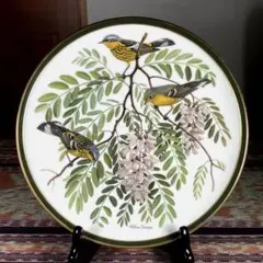 2025年最新】鳴き鳥シリーズの人気アイテム - メルカリ
