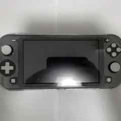 Nintendo Switch Light ニンテンドースイッチライト 本体