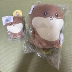 ナガノマーケット　ナガノ　カワウソくじ　C D セット
