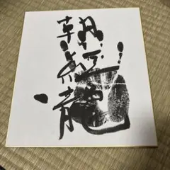 朝紅龍　サイン
