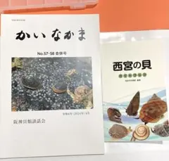 かいなかま No.57・58 合併号、西宮の貝