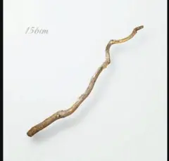 力強く映える自然流木156cmロング　おしゃれ　ディスプレイ　ナチュラル雑貨