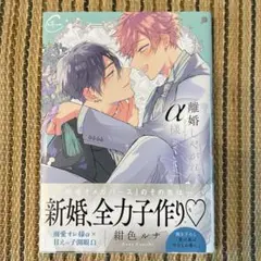離婚しやがれ、α様love nest