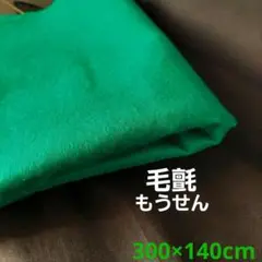毛氈 もうせん 緑 グリーン