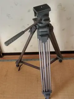 Item thumbnail for item 04e056e4-58b0-4bce-b5bf-c7c6d13dbd26