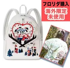 新品 海外限定 ディズニーラウンジフライ ミッキー クリスマスホリデー バック