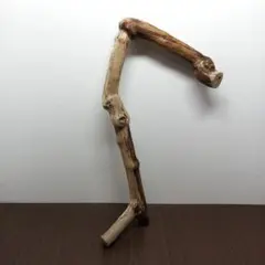 No.2295【アク抜き済流木】