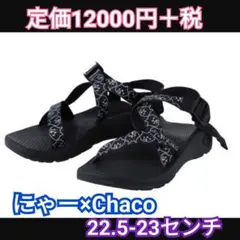 Chaco × Né-net限定コラボ にゃー サンダル 左右サイズ差あり