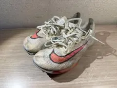 Item thumbnail for item 0b4415c4-be51-4e60-9941-1e170ba57246