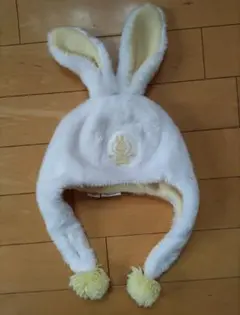 ディズニーファンキャップ美品☆クリッターカントリー