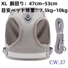 Item thumbnail for item 34b83369-71f3-4931-baae-136b7c43fbdd