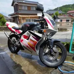 【MW】TZR50R オイルポンプ×2 純正キャブセット 2025年最新】tzr50r オイルポンプの人気アイテム - メルカリ
