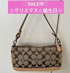 早い者勝ち!超美品!COACH モノグラム ハンドバッグ
