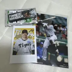原口文仁　ラッフルクジ　阪神タイガース