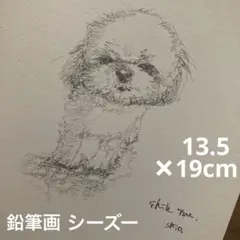 【鉛筆画】 シーズー　犬　動物 絵　原画　ドローイング　イラスト