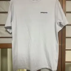 パタゴニア半袖