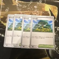 活力の森　4枚