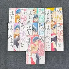 ☆使用感あり☆さあ、秘密をはじめよう 一井かずみ　全巻セット