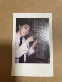 SEVENTEEN 2015 韓国コンサート チェキ ディノ