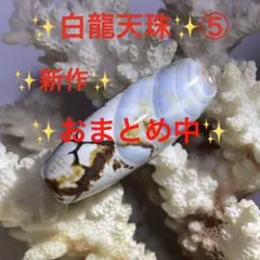 白龍天珠✨1珠✨レア天珠✨ブレスレットパーツ⑤