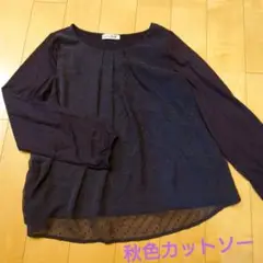 Item thumbnail for item 31146226-a6f3-41e7-b020-e1121d1e3737