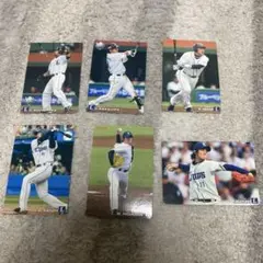 2009年カルビー プロ野球カードセット　埼玉西武ライオンズ