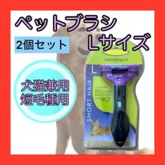 Item thumbnail for item a4e7ed13-1611-4b02-a6ef-fc67a094504c