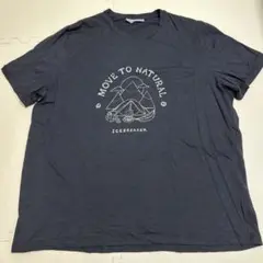 icebreaker メリノウールTシャツ XXLサイズ