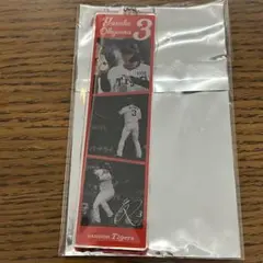 大山悠輔 2025 シークレットプレイバックキーホルダー 阪神タイガース