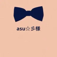 asu☆彡　土日祝日発送出来ません様 リクエスト 2点 まとめ商品