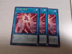 遊戯王　死を謳う魔瞳　レア　3枚