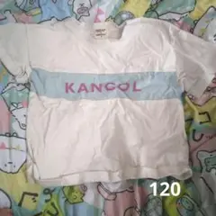 KANGOL Tシャツ 120サイズ ホワイト/ブルー