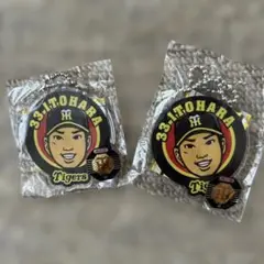 33-糸原健斗 Tigers キーホルダー