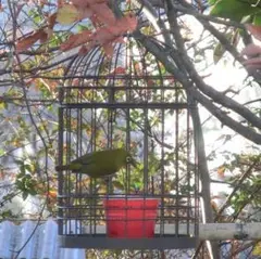 №30 バードウォッチング 鳥かご型 野鳥観察 給餌台