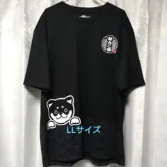 和犬雑貨 わんこ堂 Tシャツ ひょっこり LLサイズ