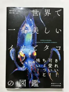 世界で一番美しいイカとタコの図鑑　ポケット版