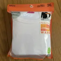 Item thumbnail for item 9ca61be1-5c5a-481d-9541-f8ceade8d2a3