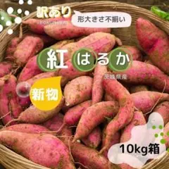 さつまいも 10kg 野菜 紅はるか 訳あり クリスマス お菓子 食品 和洋