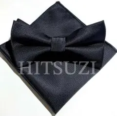Item thumbnail for item 9673d57c-5861-4f7c-a80b-791e7be0c63a